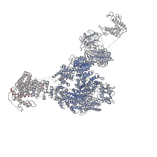 9824_6jgz_H_v1-2
Structure of RyR2 (F/P/Ca2+ dataset)