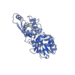 22335_7jh7_A_v1-1
cardiac actomyosin complex