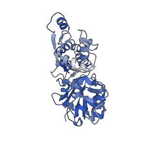 22335_7jh7_B_v1-1
cardiac actomyosin complex