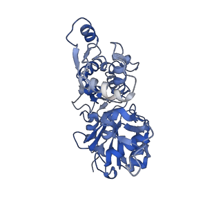 22335_7jh7_B_v1-2
cardiac actomyosin complex