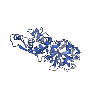 22335_7jh7_C_v1-1
cardiac actomyosin complex