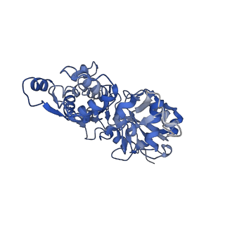 22335_7jh7_C_v1-2
cardiac actomyosin complex