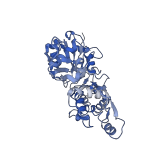 22335_7jh7_D_v1-1
cardiac actomyosin complex