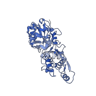 22335_7jh7_D_v1-2
cardiac actomyosin complex