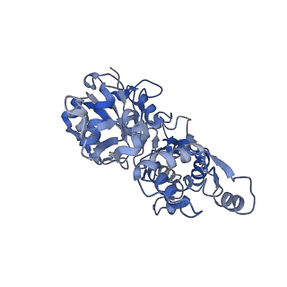 22335_7jh7_E_v1-1
cardiac actomyosin complex
