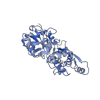 22335_7jh7_E_v1-2
cardiac actomyosin complex