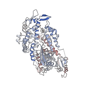 22335_7jh7_F_v1-2
cardiac actomyosin complex