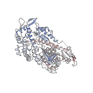 22335_7jh7_H_v1-1
cardiac actomyosin complex
