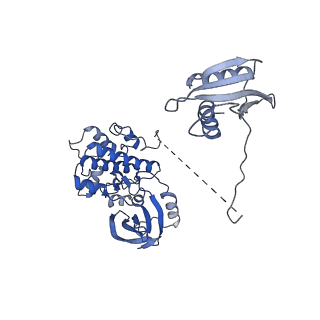 22336_7jhg_A_v1-1
Cryo-EM structure of ATP-bound fully inactive AMPK in complex with Dorsomorphin (Compound C) and Fab-nanobody