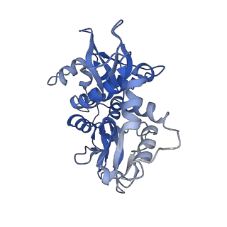 22336_7jhg_G_v1-1
Cryo-EM structure of ATP-bound fully inactive AMPK in complex with Dorsomorphin (Compound C) and Fab-nanobody