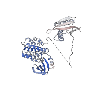 22337_7jhh_A_v1-1
Cryo-EM structure of ATP-bound fully inactive AMPK in complex with Fab and nanobody