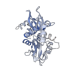 22337_7jhh_G_v1-1
Cryo-EM structure of ATP-bound fully inactive AMPK in complex with Fab and nanobody