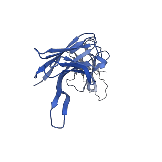 22337_7jhh_H_v1-1
Cryo-EM structure of ATP-bound fully inactive AMPK in complex with Fab and nanobody