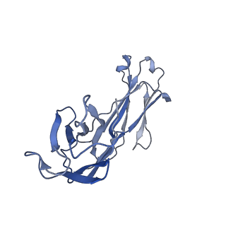 22337_7jhh_L_v1-1
Cryo-EM structure of ATP-bound fully inactive AMPK in complex with Fab and nanobody
