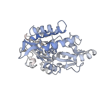 22337_7jhh_M_v1-1
Cryo-EM structure of ATP-bound fully inactive AMPK in complex with Fab and nanobody
