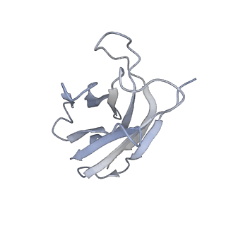 22337_7jhh_N_v1-1
Cryo-EM structure of ATP-bound fully inactive AMPK in complex with Fab and nanobody