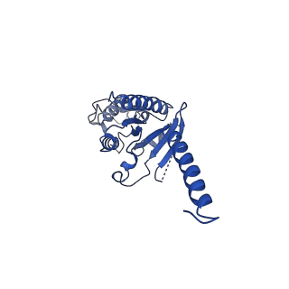 22338_7jhj_A_v1-2
Structure of the Epstein-Barr virus GPCR BILF1 in complex with human Gi