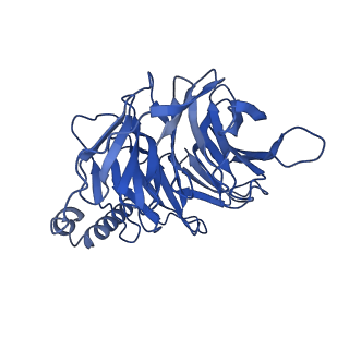 22338_7jhj_B_v1-2
Structure of the Epstein-Barr virus GPCR BILF1 in complex with human Gi