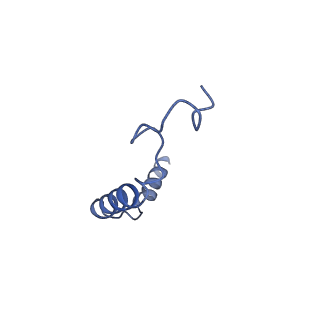 22338_7jhj_C_v1-2
Structure of the Epstein-Barr virus GPCR BILF1 in complex with human Gi