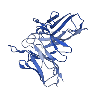 22338_7jhj_D_v1-2
Structure of the Epstein-Barr virus GPCR BILF1 in complex with human Gi