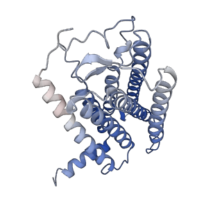 22338_7jhj_R_v1-2
Structure of the Epstein-Barr virus GPCR BILF1 in complex with human Gi