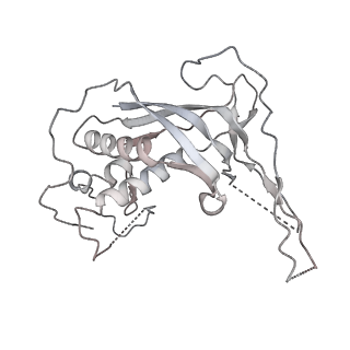 22340_7jhy_a_v1-0
Type IV-B CRISPR Complex