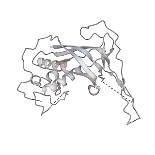 22340_7jhy_a_v1-1
Type IV-B CRISPR Complex