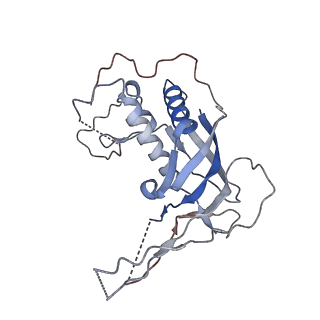 22340_7jhy_c_v1-1
Type IV-B CRISPR Complex