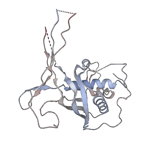 22340_7jhy_f_v1-1
Type IV-B CRISPR Complex