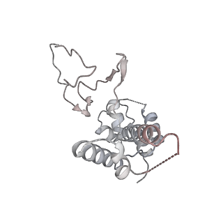 36252_8jh3_D_v1-2
RNA polymerase II elongation complex containing 40 bp upstream DNA loop, stalled at SHL(-1) of the nucleosome