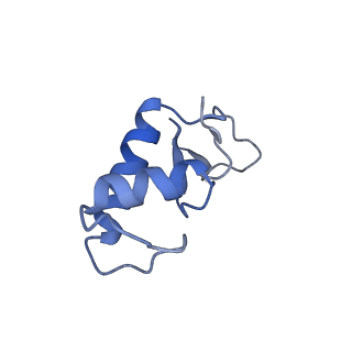 36252_8jh3_F_v1-2
RNA polymerase II elongation complex containing 40 bp upstream DNA loop, stalled at SHL(-1) of the nucleosome