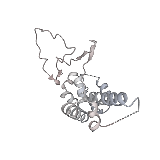 36253_8jh4_D_v1-2
RNA polymerase II elongation complex containing 60 bp upstream DNA loop, stalled at SHL(-1) of the nucleosome