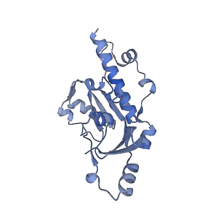 36253_8jh4_E_v1-2
RNA polymerase II elongation complex containing 60 bp upstream DNA loop, stalled at SHL(-1) of the nucleosome