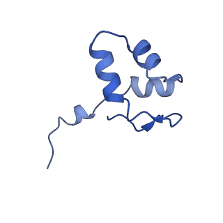 36253_8jh4_J_v1-2
RNA polymerase II elongation complex containing 60 bp upstream DNA loop, stalled at SHL(-1) of the nucleosome