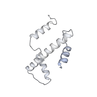 36253_8jh4_a_v1-2
RNA polymerase II elongation complex containing 60 bp upstream DNA loop, stalled at SHL(-1) of the nucleosome