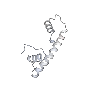 36253_8jh4_b_v1-2
RNA polymerase II elongation complex containing 60 bp upstream DNA loop, stalled at SHL(-1) of the nucleosome