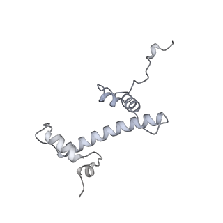 36253_8jh4_c_v1-2
RNA polymerase II elongation complex containing 60 bp upstream DNA loop, stalled at SHL(-1) of the nucleosome