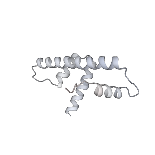 36253_8jh4_d_v1-2
RNA polymerase II elongation complex containing 60 bp upstream DNA loop, stalled at SHL(-1) of the nucleosome