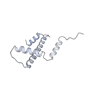 36253_8jh4_e_v1-2
RNA polymerase II elongation complex containing 60 bp upstream DNA loop, stalled at SHL(-1) of the nucleosome