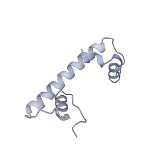 36253_8jh4_f_v1-2
RNA polymerase II elongation complex containing 60 bp upstream DNA loop, stalled at SHL(-1) of the nucleosome