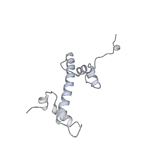 36253_8jh4_g_v1-2
RNA polymerase II elongation complex containing 60 bp upstream DNA loop, stalled at SHL(-1) of the nucleosome