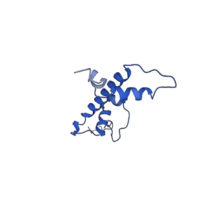 36264_8jhf_C_v1-1
Native SUV420H1 bound to 167-bp nucleosome