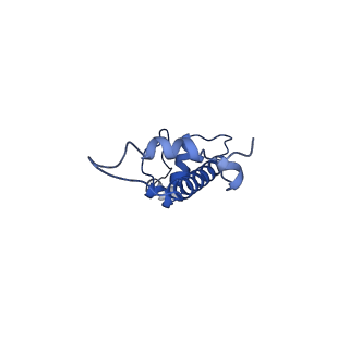 36264_8jhf_G_v1-1
Native SUV420H1 bound to 167-bp nucleosome