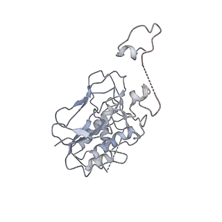 36264_8jhf_K_v1-1
Native SUV420H1 bound to 167-bp nucleosome