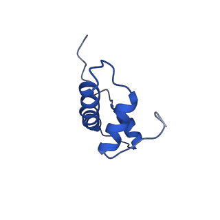 36265_8jhg_B_v1-1
Native SUV420H1 bound to 167-bp nucleosome
