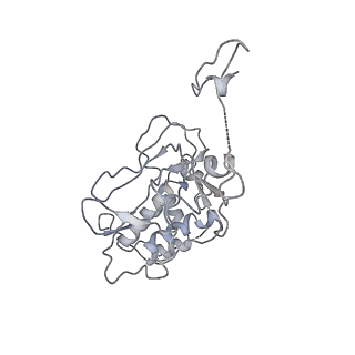 36265_8jhg_K_v1-1
Native SUV420H1 bound to 167-bp nucleosome
