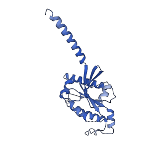 36280_8jhn_A_v1-1
Structure of MMF-GPR109A-G protein complex