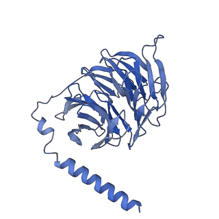 36280_8jhn_B_v1-1
Structure of MMF-GPR109A-G protein complex