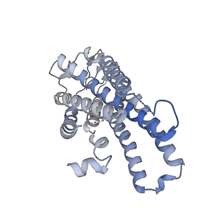 36280_8jhn_D_v1-1
Structure of MMF-GPR109A-G protein complex