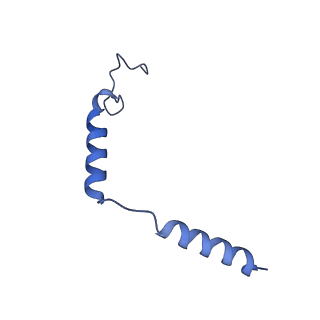 36280_8jhn_G_v1-1
Structure of MMF-GPR109A-G protein complex